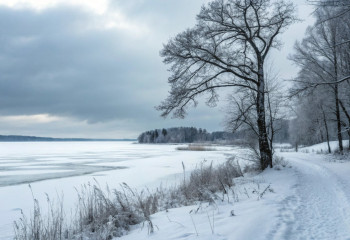 Казахстан ожидает неделя суровых зимних холодов