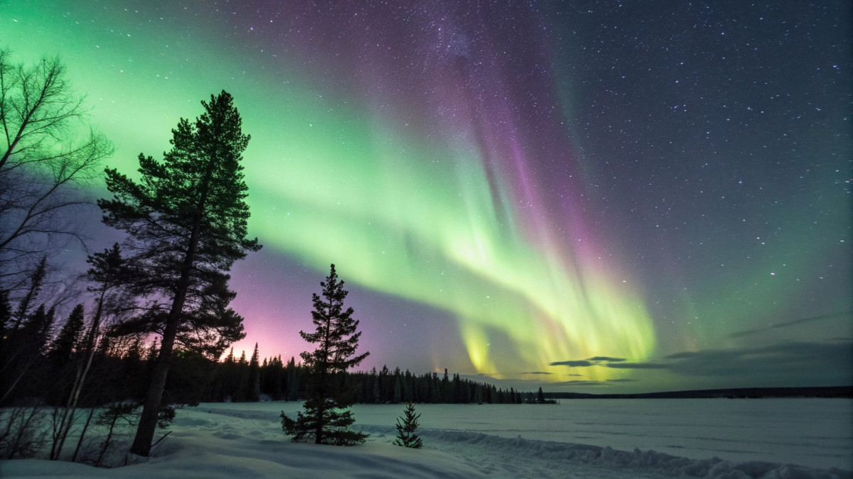  © El.kz / Recraft / Динмухамед БЕЙСЕМБАЕВ 