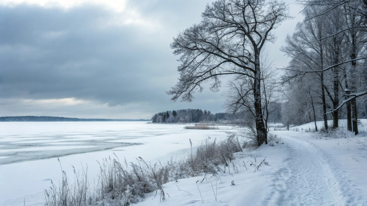  © El.kz / Recraft / Динмухамед БЕЙСЕМБАЕВ 