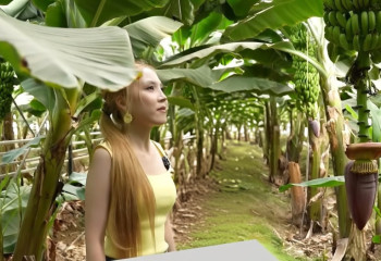 Бананы, оливки, фисташка: Какие ещё экзотические культуры выращивают в Казахстане