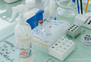 МӘМС-тегі былық: қорға қатысты тексеріс басталды, кімдер жазаланады?