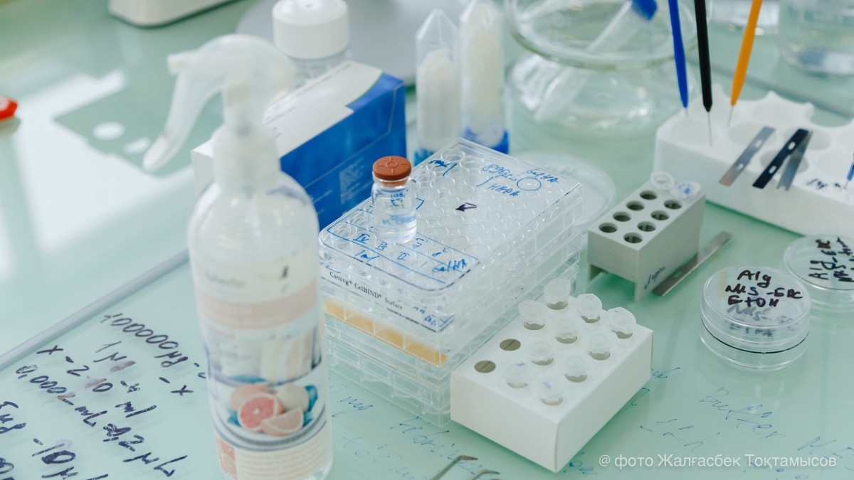  ©El.kz/Жалғасбек Тоқтамысов 