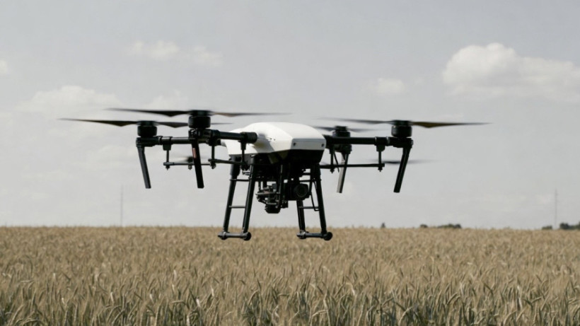  El.kz / Marina Ruzmatova / Grok 