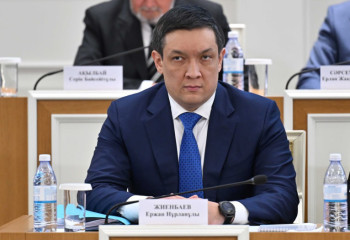 Еліміздің Вице-Президенті қандай қызмет атқарады