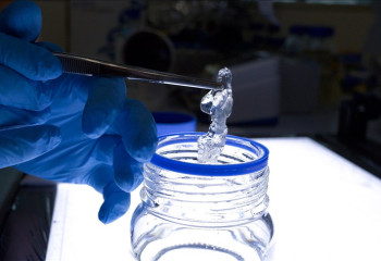 Chinese, US scientists identify tumor cell driving cancer progression