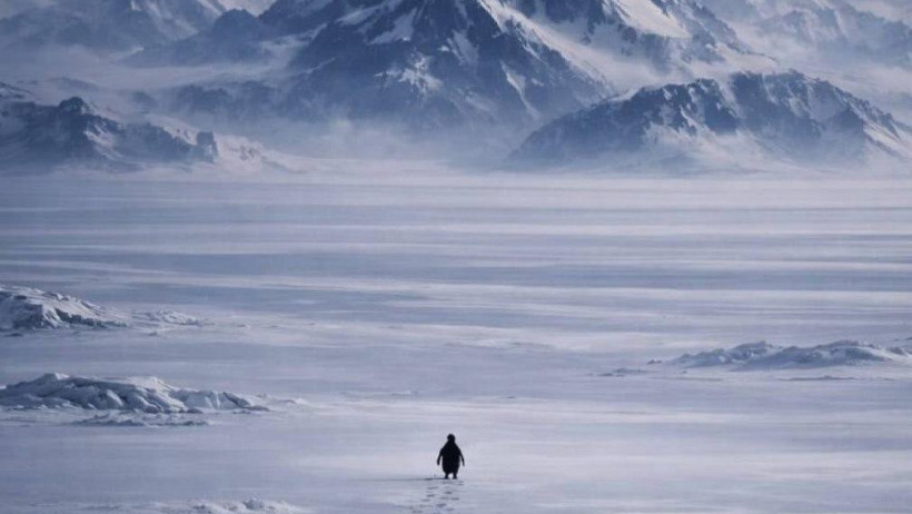  Әлеуметтік желі 