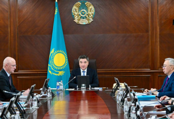 Үкімет басшысы балалар қауіпсіздігіне қатысты батыл шешімдер қабылдауды тапсырды