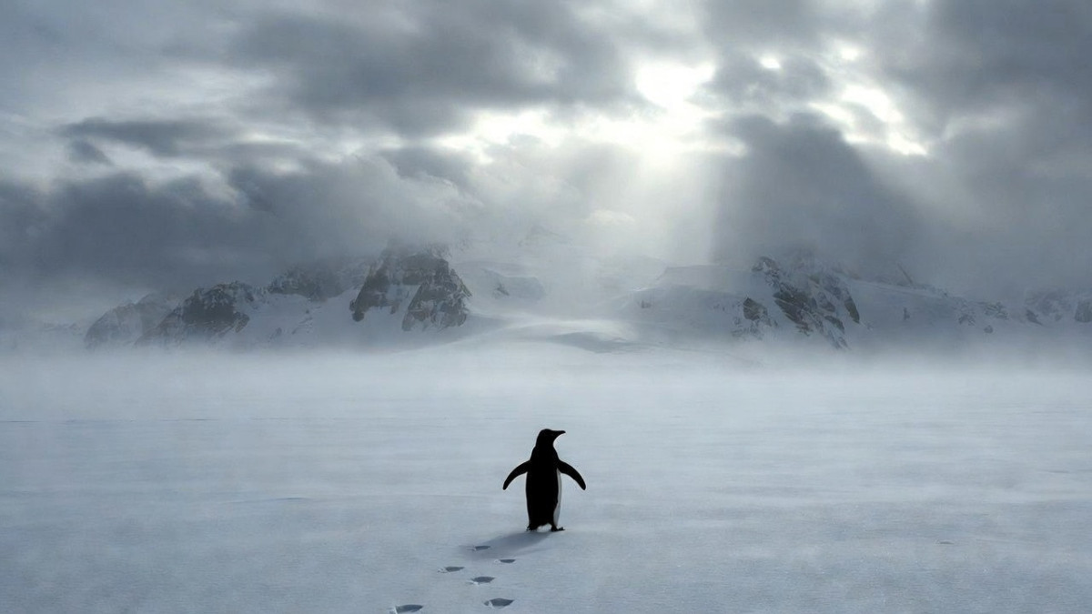  ©El.kz/Марина РУЗМАТОВА/ ИИ (Grok) 