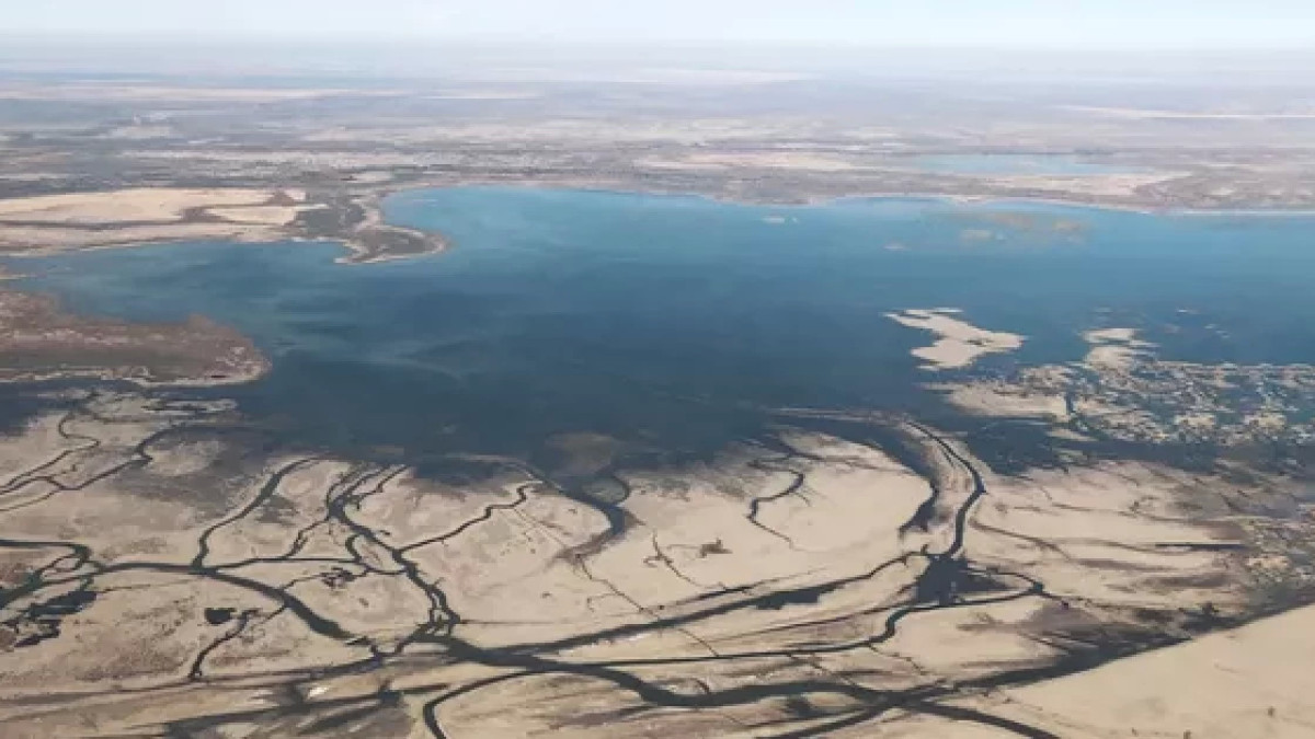  ашық дереккөз 