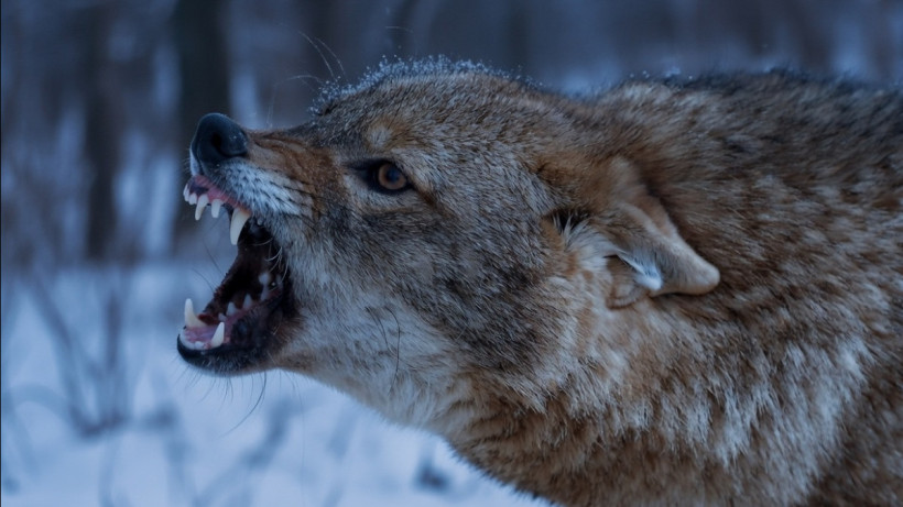  ©El.kz/Марина РУЗМАТОВА/ ИИ (Grok) 