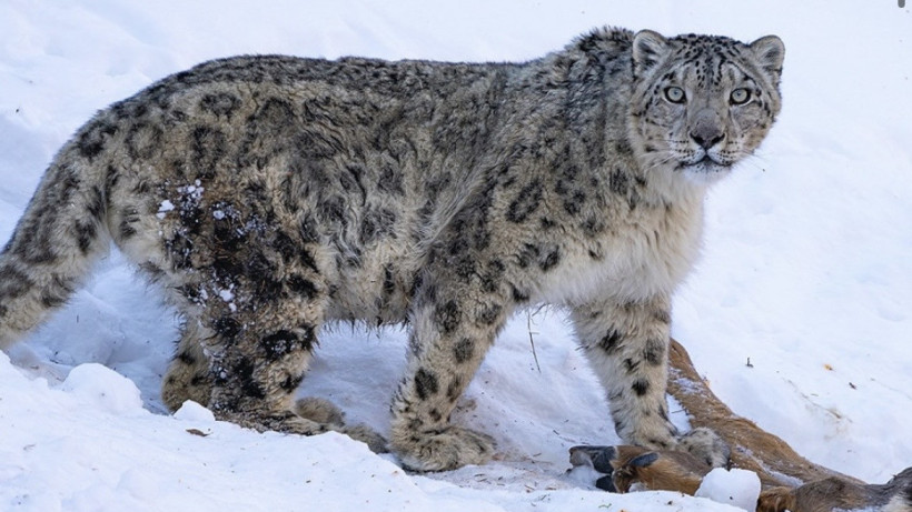  dots _photo / instagram 