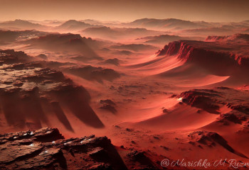 Отпуска на Земле и Марсианская республика: чего добивается Илон Маск