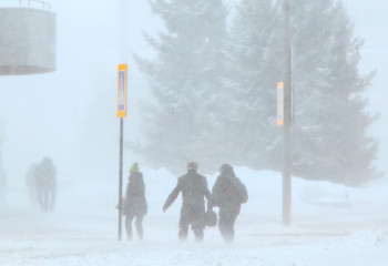 33° аяз, бұрқасын: оқушылар мен студенттер тағы да қашықтан оқиды