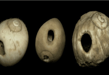 11,000-year-old British baby girl’s bones unearthed in cave