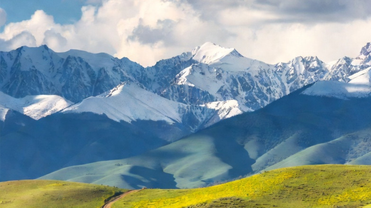  ©El.kz / ИИ (Grok) 