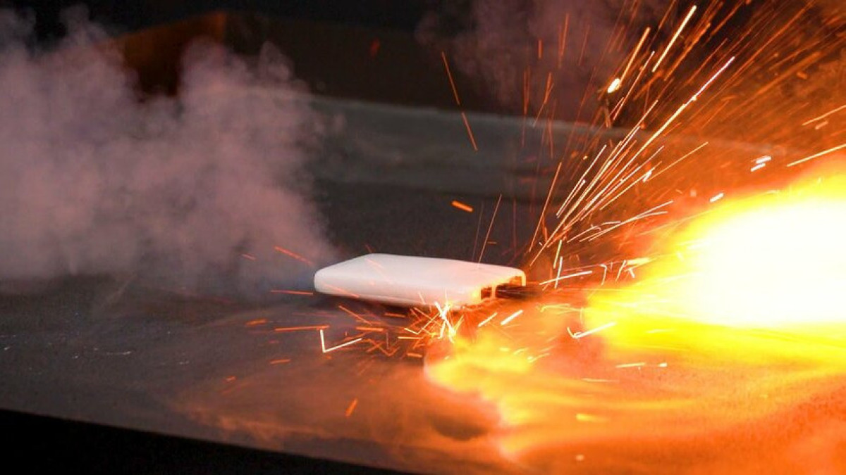  Photo courtesy of the National Institute of Technology and Evaluation 