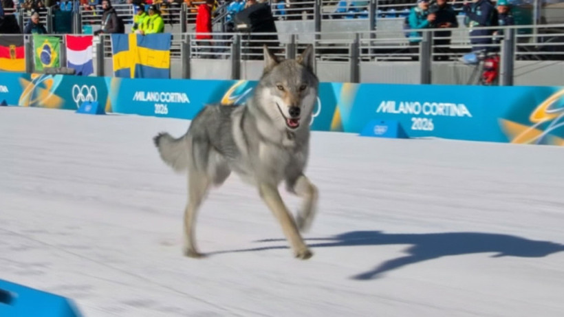  Qazsport©recraft.ai 