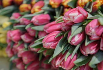 Как казахстанцы отдохнут в марте