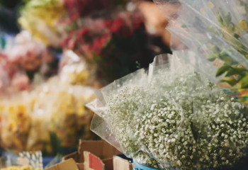 8 наурызда қандай гүлдерді сыйлауға болмайды: дәрігерлердің кеңесі