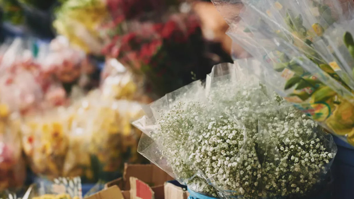  Фото: freepik.com 