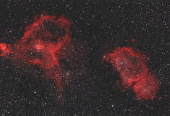 Космический букет: в сети показали туманности, напоминающие цветы