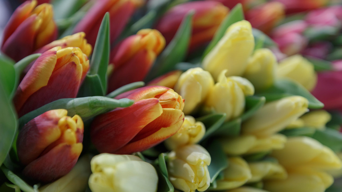  © El.kz / Артем ЧУРСИНОВ 