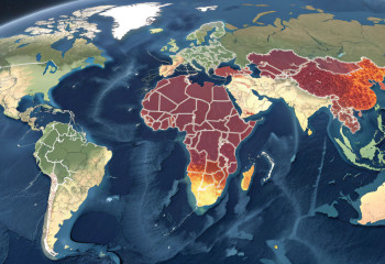 Сколько людей будет жить на Земле и в Казахстане через 100 лет: грозит ли миру перенаселение