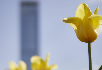 Когда в Казахстан придет настоящее тепло: прогноз синоптиков