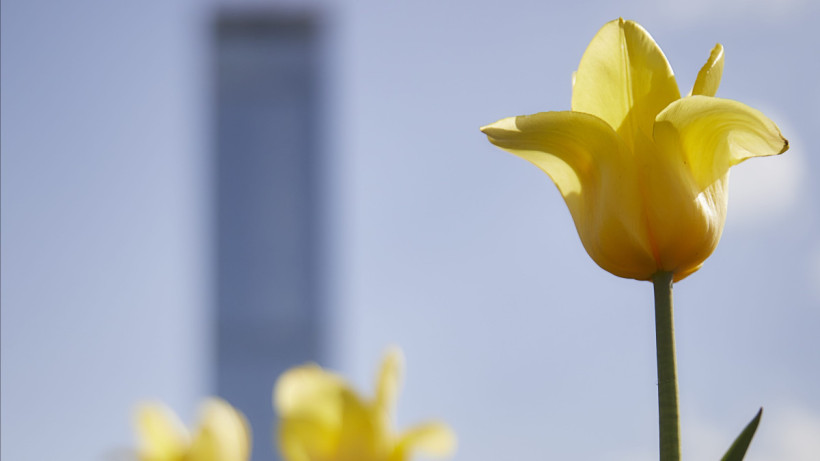  © El.kz/Газиз ШАКИРОВ 