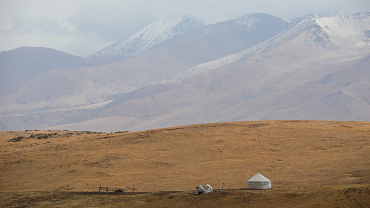  Сергей Алексеенок эксклюзивно для El.kz 