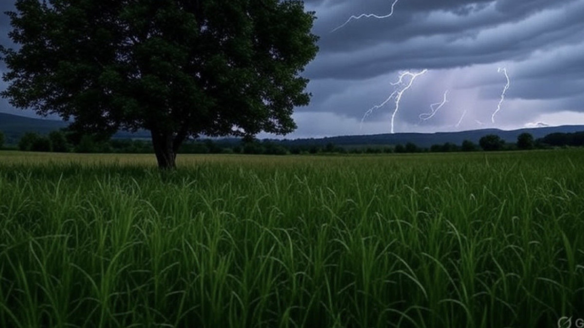  El.kz / Aigerim Yesskendirova/ Grok 