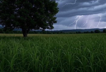 New 3D-printed robot uses wind instead of batteries to explore harsh terrains