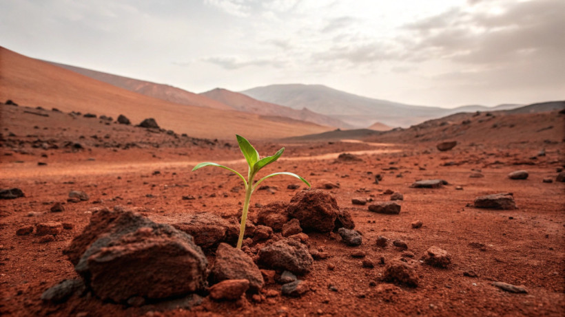  © El.kz / ИИ Recraft 