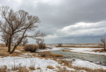 Конец марта будет весенним и непредсказуемым – синоптики о погоде в Казахстане на неделю