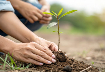 Наурызнама: молодёжь Алматы провела концерт и флешмоб в честь «Тазару күні»