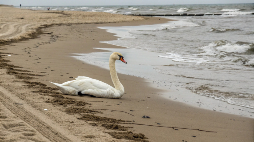  © El.kz / ИИ Recraft 