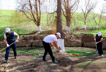 Kazakh PM takes part in “Moldir Bulak” campaign in Turkestan region