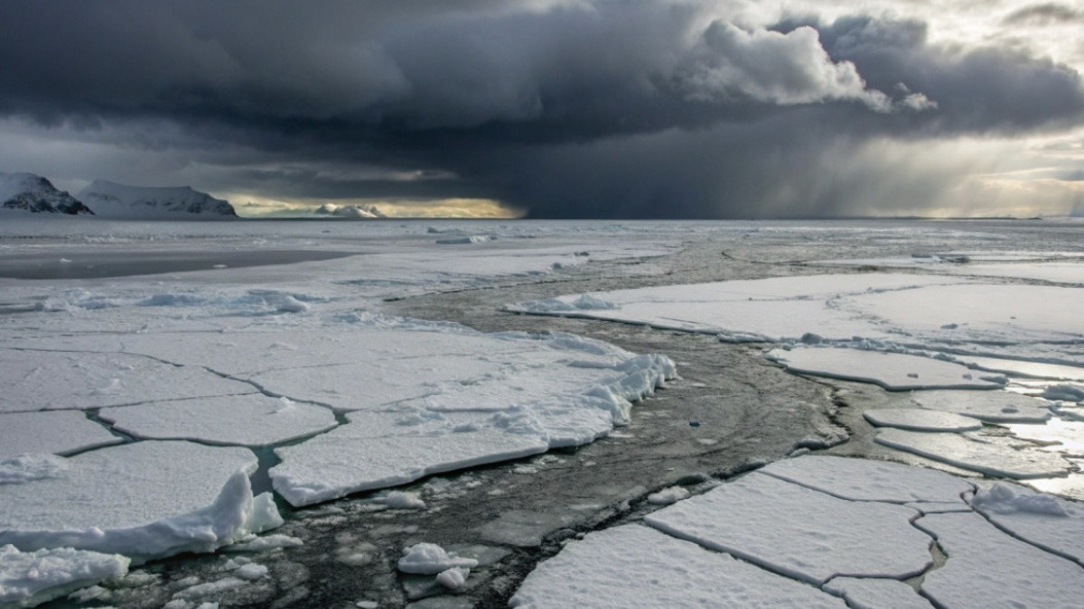  El.kz / Recraft / Dinmukhamed Beissembayev 