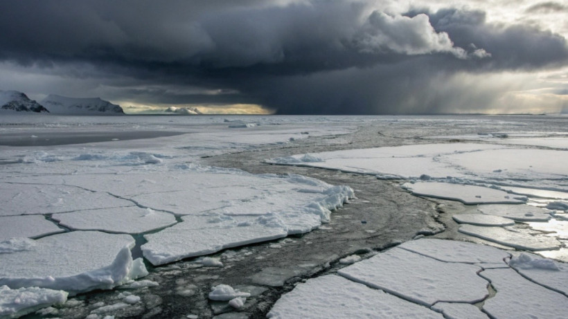  El.kz / Recraft / Dinmukhamed Beissembayev 