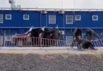 Ресейдегі жаппай төбелес: қазақстандықтар неге ұсталды?