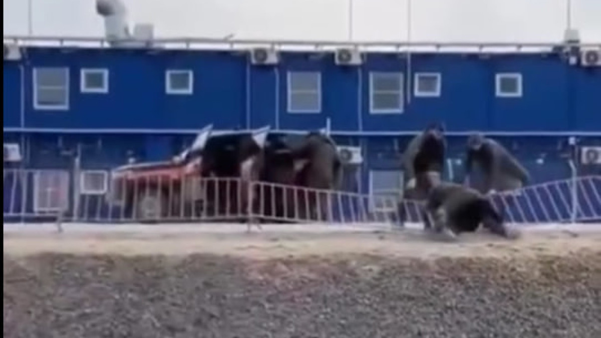  Видеодан кадр 