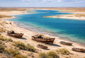 Арал: уроки спасения