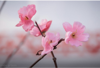 Қазақстандықтар мамыр айында 11 күн демалады: мерекелік кесте жарияланды