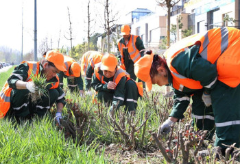 «Таза Қазақстан»: в Алматы в 2026 году высадят более 550 тыс. зеленых насаждений