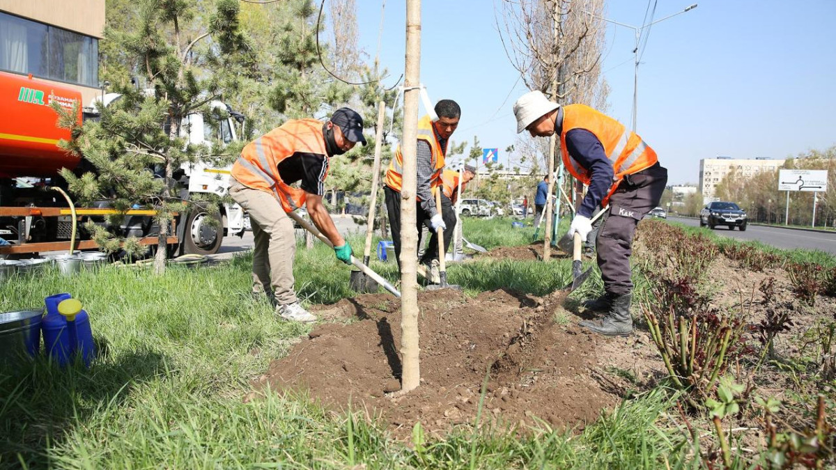  фото: ұйымдастырушылар 