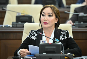 «Күйеуіңді таста» деген сияқты кеңес беретін психолог-коучтарды бақылауға алмаса болмайды – депутат