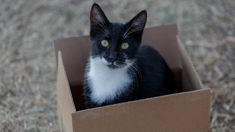  Артем Чурсинов 