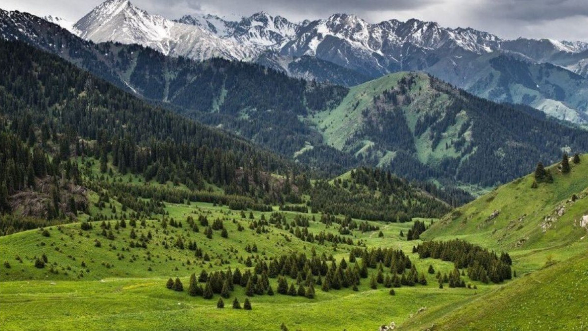  ашық дереккөзден алынды 