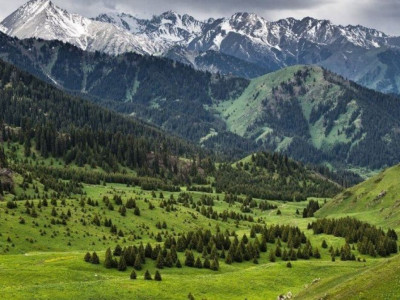 Алматы тауларында қоқыс жинағандарға тегін кофе беріледі