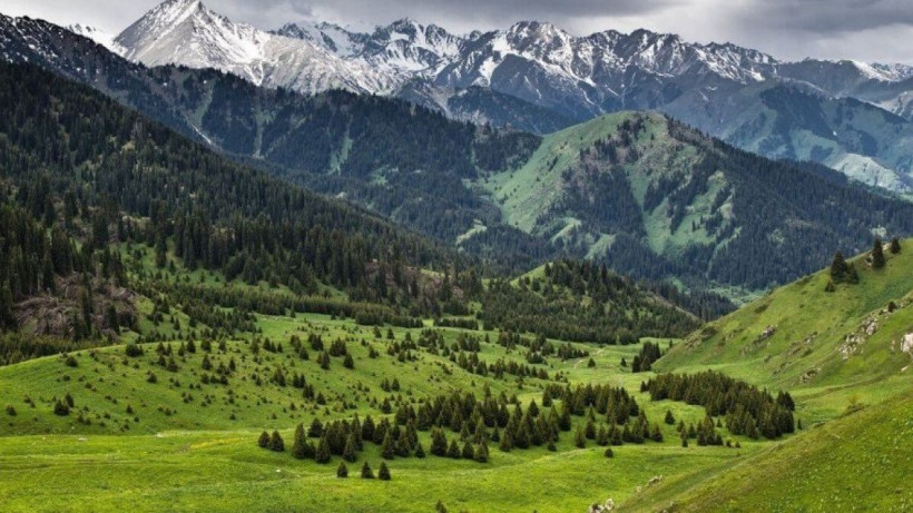  ашық дереккөзден алынды 